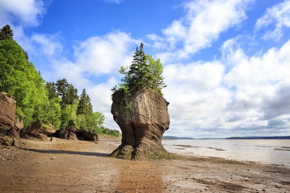 Hopewell rocks, centrally located between Moncton and Sussex  hotels