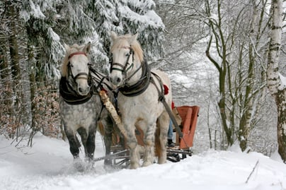 Winter Festivals in New Brunswick