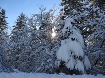 winter in New Brunswick