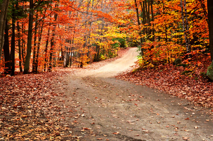 Hiking in New Brunswick