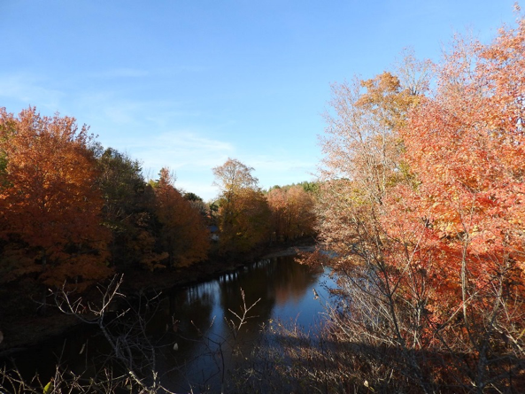 10 New Brunswick Hiking Trails- Fall Edition