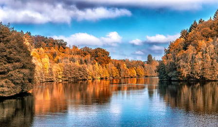 Fall Leaves in New Brunswick