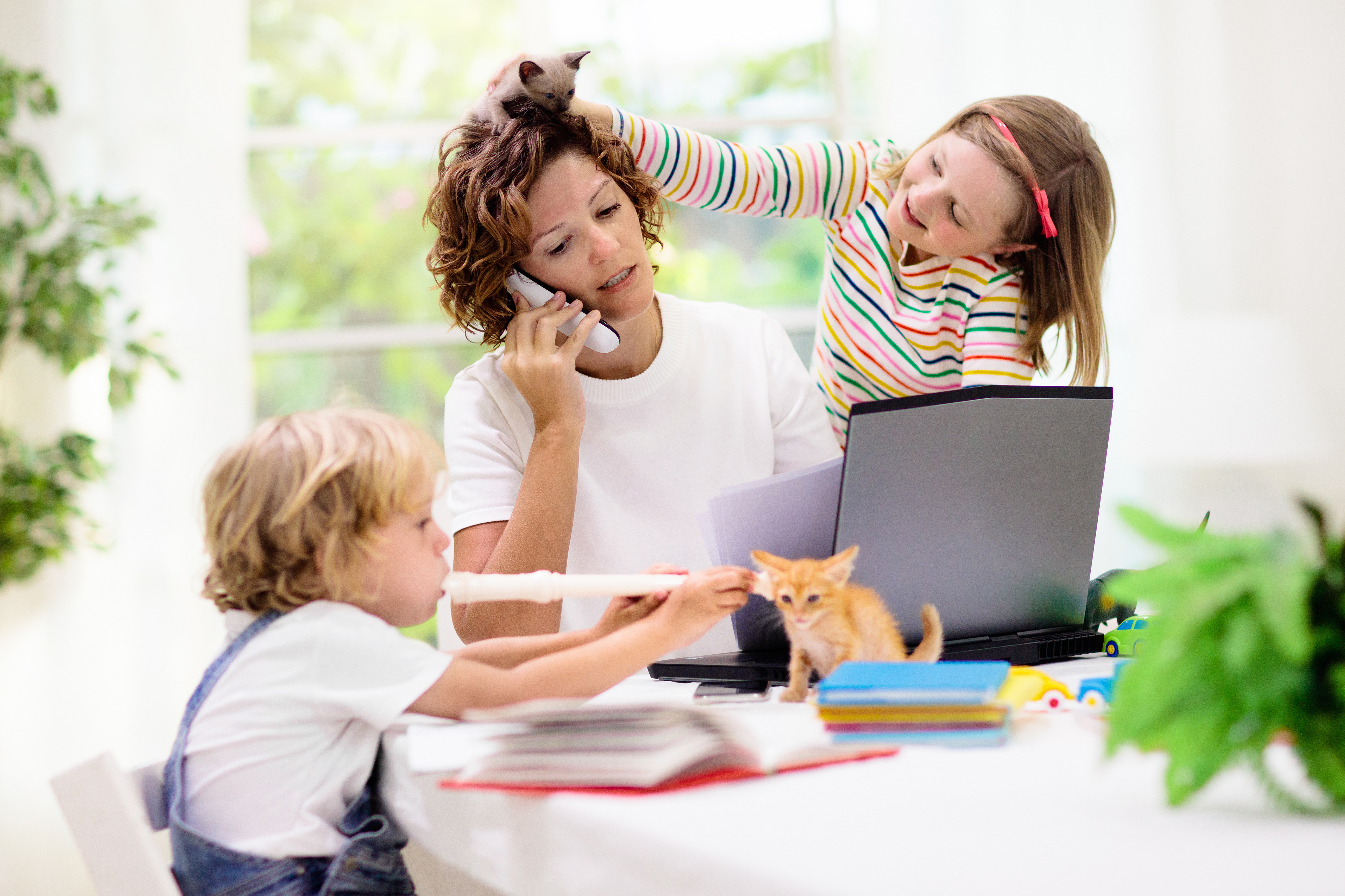 AdobeStock_331437108 AdobeStock_331437108